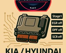 Hyundai kia avtoelektronika diaqnostika
