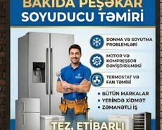 Soyuducu ustasi zəmanətli peşəkar təmiri