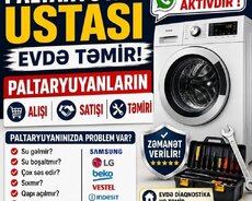 Paltaryuyan Ustası Temiri
